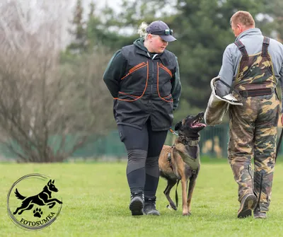 Bark & Ride - szkolenie psów